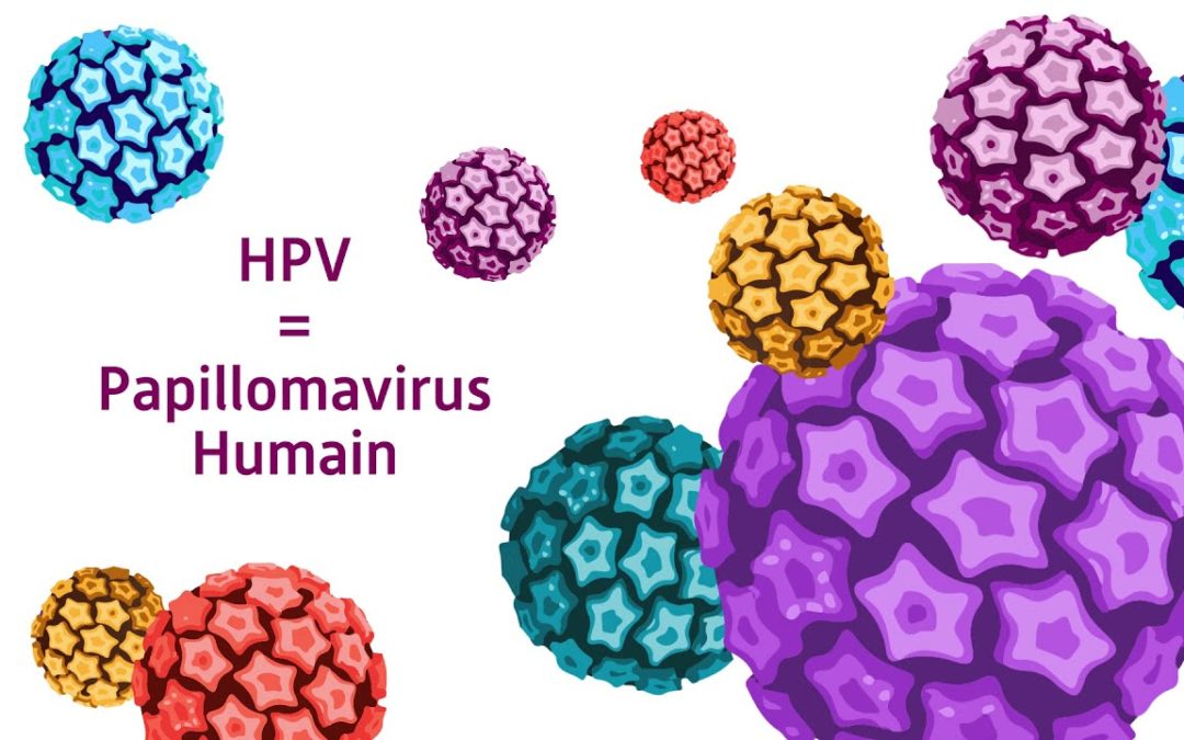 Les Infections à papillomavirus humains (HPV) : la vaccination se déploie dans les collèges
